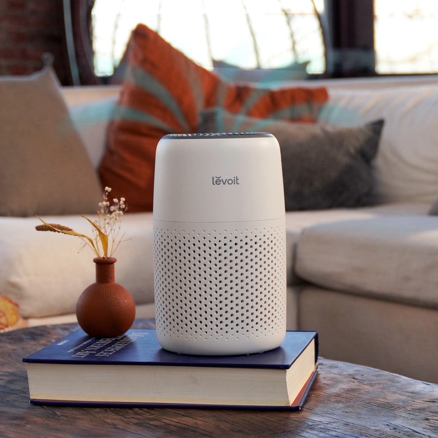 the Right Levoit Air Purifier for Your Home