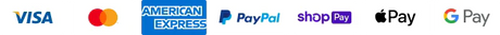 Tech Sales Online Payment Options
