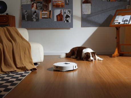 Roborock Qrevo EdgeC: Extreme Suction, Anti-Tangle Brushes 