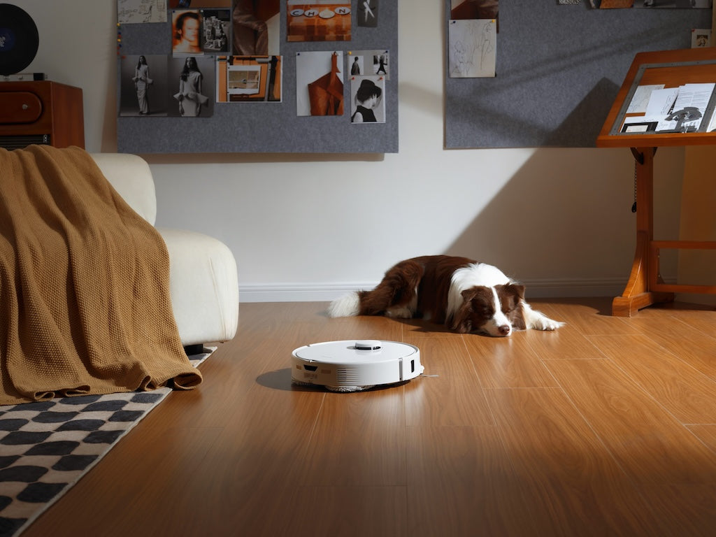 Roborock Qrevo EdgeC: Extreme Suction, Anti-Tangle Brushes and a Smart Dock - Everything You Need to Know