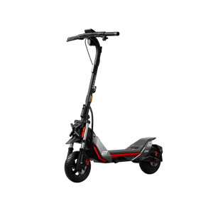 Adult Electric Scooters