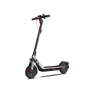 Adult Electric Scooters